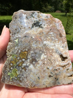8th Vein Ocean Jasper Slab #47