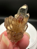 Natural Kundalini Citrine Lightbrary Crystal #13