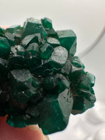 Green Dioptase from Reneville, DR Congo Specimen #1