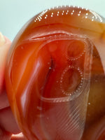 Carnelian Heart Palm Stone #2
