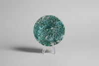 Moss Agate Polished Round Slice #15