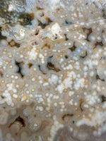 8th Vein Ocean Jasper Slab #47
