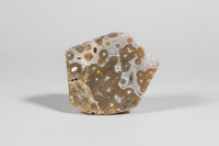 Ocean Jasper Free-form #11