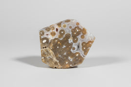 Ocean Jasper Free-form #11