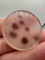 Scenic Dendritic Agate Cabochon #3