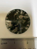 Moss Agate Polished Round Slice #18