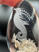 Beautiful Seahorse Garden Quartz Inner Scene Carving #3