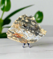 8th Vein Ocean Jasper Slab #133