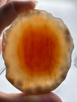 Natural Agate Slab #12