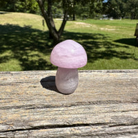Fluorite Mushroom Carving #23