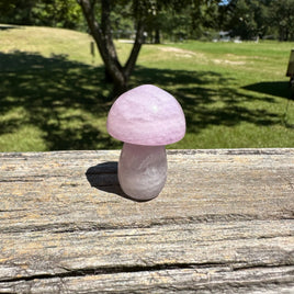 Fluorite Mushroom Carving #23