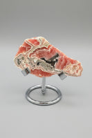 Rhodochrosite Slab #3 – Vivid Pink Banded Polished Collector Specimen
