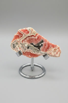 Rhodochrosite Slab #3 – Vivid Pink Banded Polished Collector Specimen