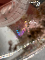 Beautiful Seahorse Garden Quartz Inner Scene with Rainbow Carving #12