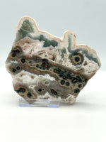 One of a Kind Bunny Shaped 8th Vein Ocean Jasper Slab #2