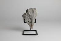 Dolomite with Quartz Crystal