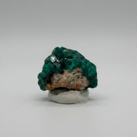 Green Dioptase from Republic of Congo Specimen #3