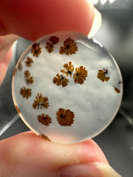 Scenic Dendritic Agate Cabochon #5