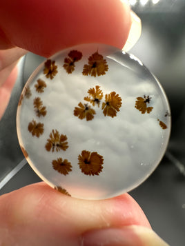 Scenic Dendritic Agate Cabochon #5