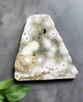 8th Vein Ocean Jasper Polished Free Form #14
