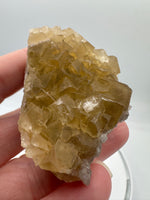 Golden Cube Fluorite Cluster – Moscona Mine, Spain Specimen