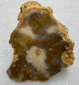 Savannah River Agate Specimen #18