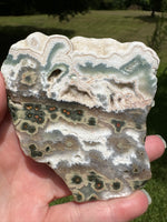 8th Vein Ocean Jasper Slab #62
