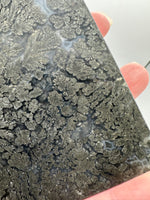 Free Form Pyrite Flowers Symbiosis Mixed Agate Slab #3