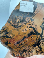 Nevada Picture Jasper Slab - Old Stock