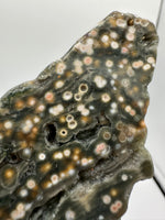 8th Vein Ocean Jasper Slab #35