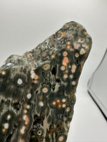 8th Vein Ocean Jasper Slab #35
