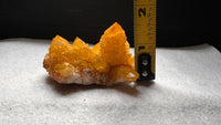 Sunshine Spirit Cactus, Golden Healer Quartz Cluster, South Africa #2
