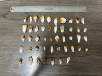Citrine Points Lot of 47
