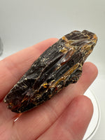 Madagascar Raw Amber Specimen #12
