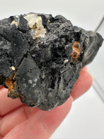 Uvite, Powers Farm, Pierrepont, New York