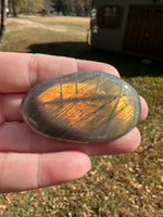 Colorful Labradorite Palmstone #19