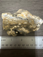 8th Vein Ocean Jasper Slab #29