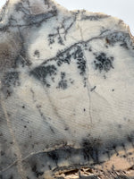 Dendritic Opal Slab