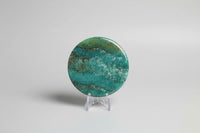 Moss Agate Polished Round Slice #24