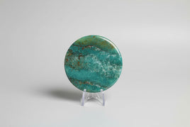 Moss Agate Polished Round Slice #24