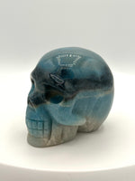 Unique Trolleite Skull #1