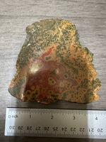 8th Vein Ocean Jasper Slab #105