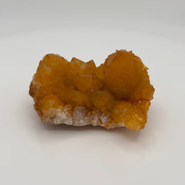 Sunshine Spirit Cactus, Golden Healer Quartz Cluster, South Africa #2