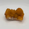 Sunshine Spirit Cactus, Golden Healer Quartz Cluster, South Africa #2