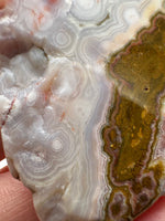 8th Vein Ocean Jasper Slab #48