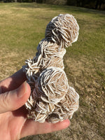 Selenite "Desert Rose," Samalayuka Desert, Chihuahua, Mexico #3