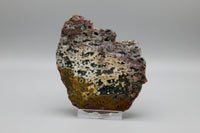 8th Vein Ocean Jasper Slab #40