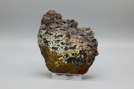 8th Vein Ocean Jasper Slab #40