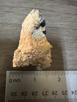 Azurite Specimen #4 Sierra Rica Chihuahua, Mexico