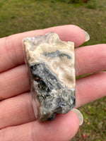 6th Vein Ocean Jasper Polished Freeform #33